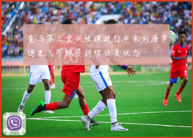 皇马第三堂训练课进行中米利唐罗德里戈等球员持续恢复状态