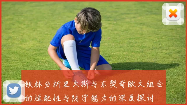 铁林分析里夫斯与东契奇欧文组合的适配性与防守能力的深度探讨