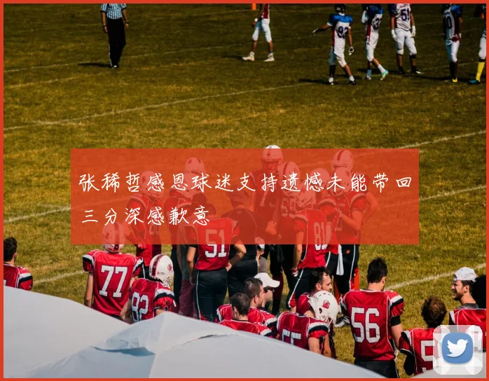 张稀哲感恩球迷支持遗憾未能带回三分深感歉意