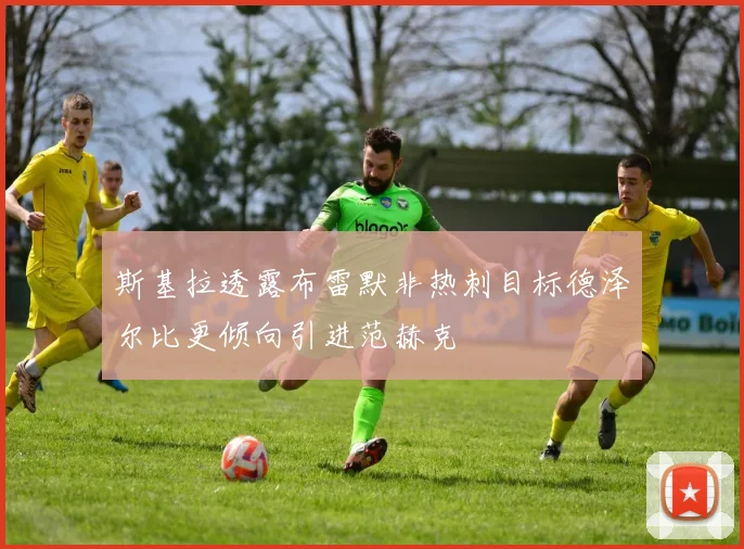 斯基拉透露布雷默非热刺目标德泽尔比更倾向引进范赫克