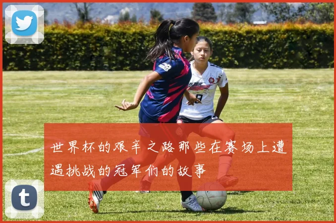 世界杯的艰辛之路那些在赛场上遭遇挑战的冠军们的故事